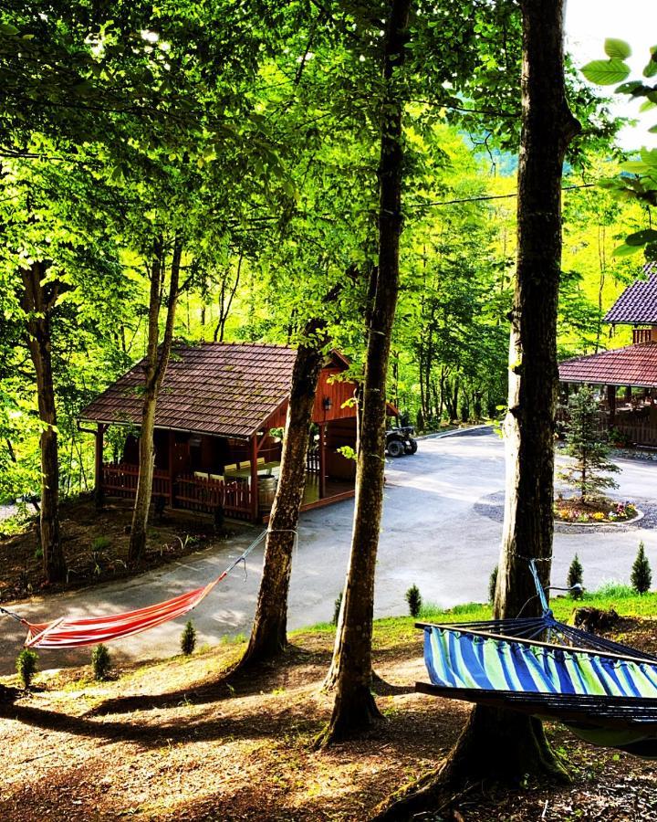 Guest house Pensiunea Valea Gepisului