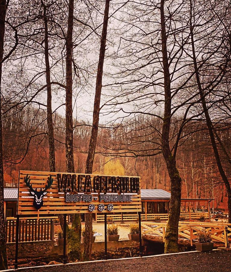 Pensiunea Valea Gepisului Guest house *