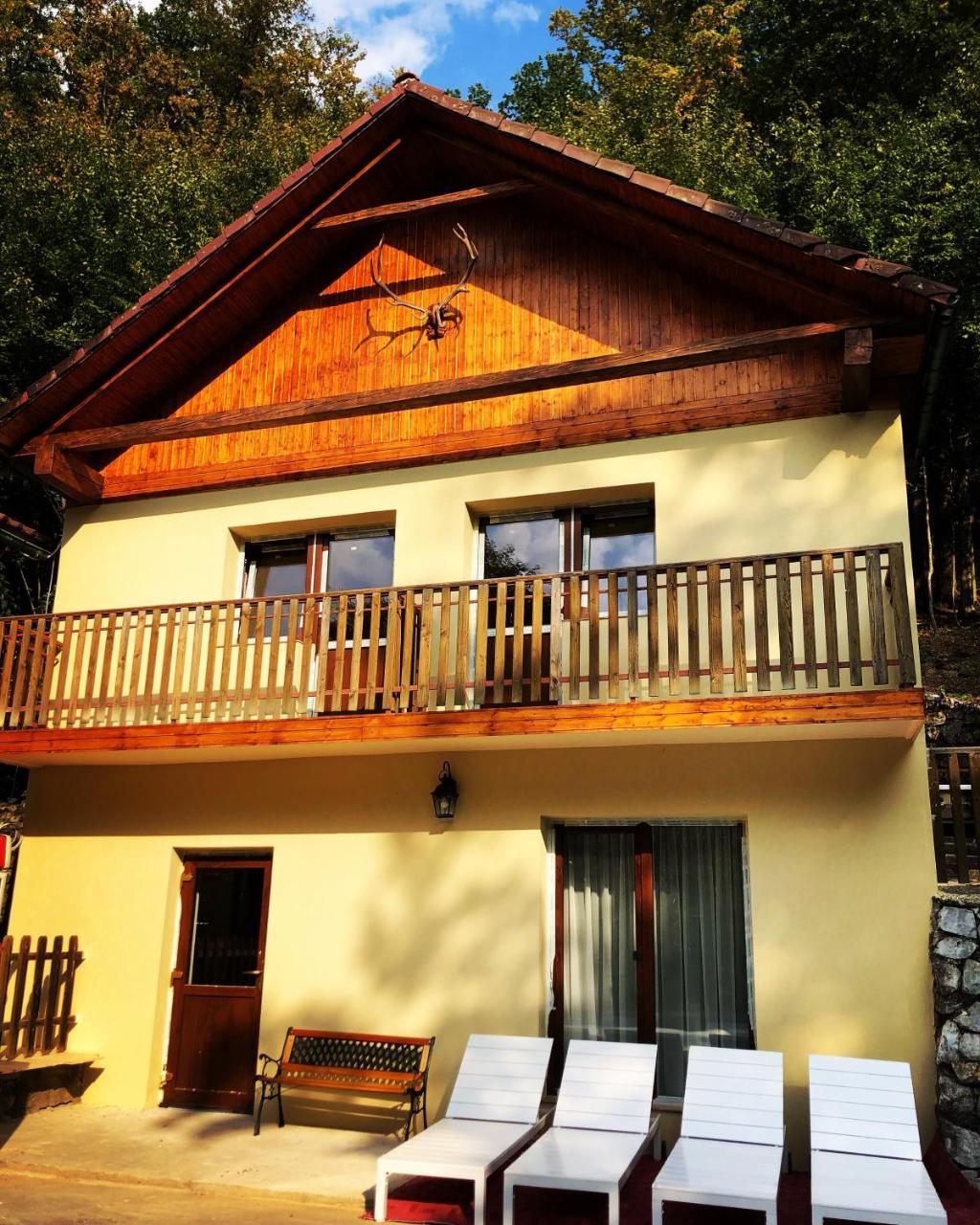 Pensiunea Valea Gepisului Guest house *
