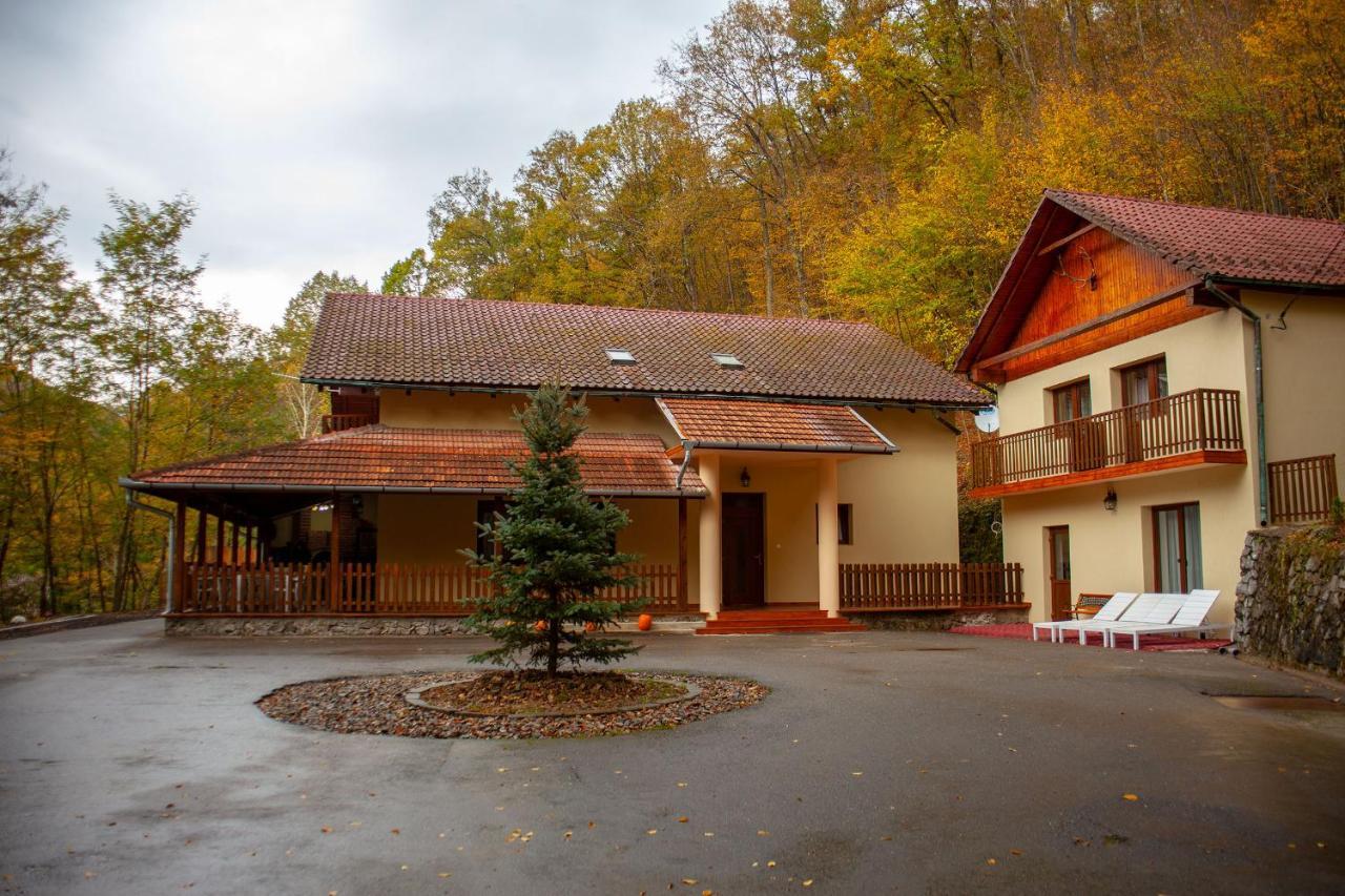 Pensiunea Valea Gepisului Guest house Grosi (Bihor)