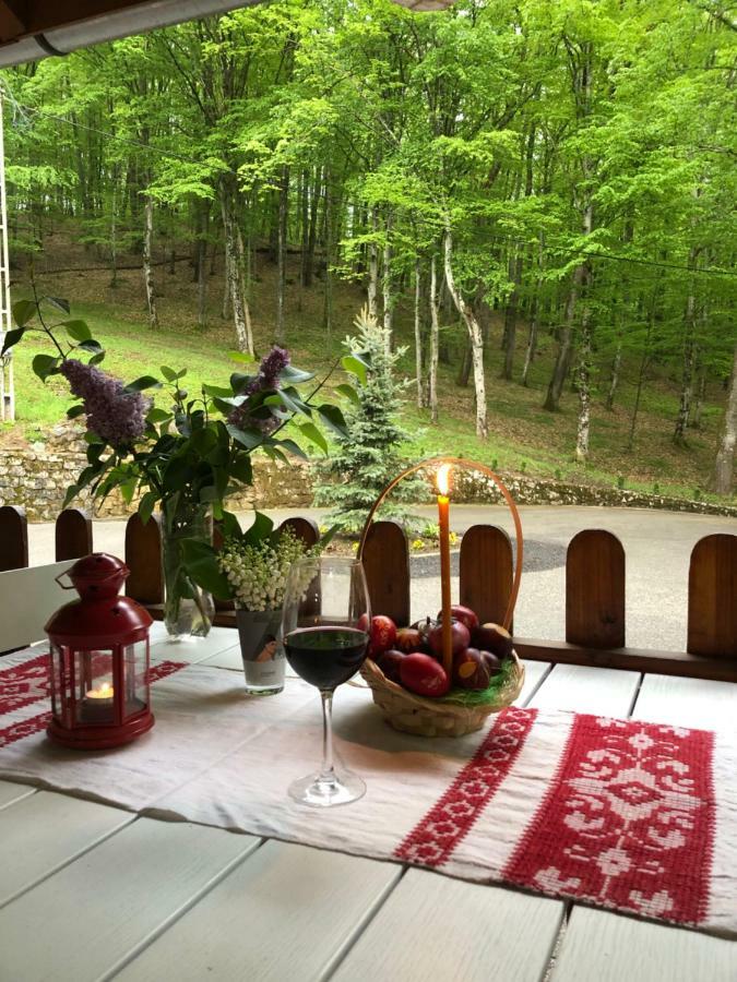 Guest house Pensiunea Valea Gepisului