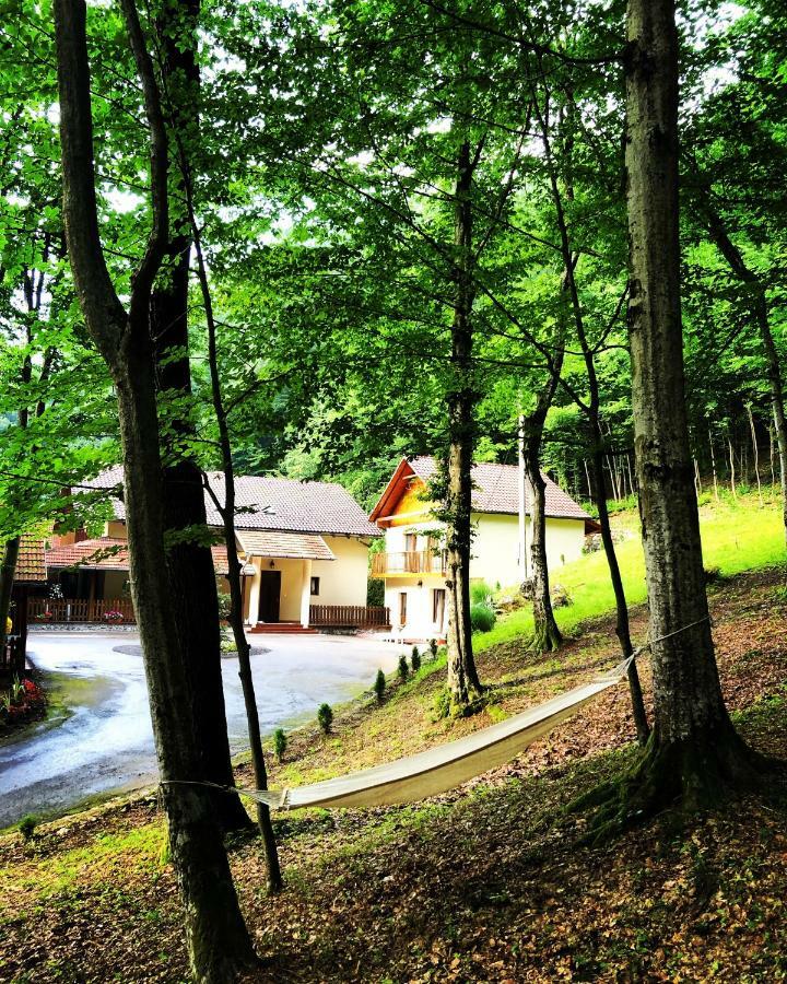 Pensiunea Valea Gepisului Guest house *